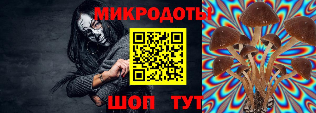 Галлюциногенные грибы прущие грибы  наркотики  Десногорск  Вход с VPN 